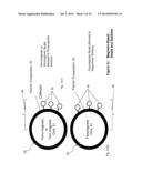 MINERAL SEPARATION USING SIZED-, WEIGHT- OR MAGNETIC-BASED POLYMER BUBBLES     OR BEADS diagram and image