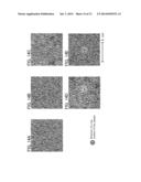 OXIDE SEMICONDUCTOR FILM AND SEMICONDUCTOR DEVICE diagram and image