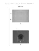 LIGHT-EMITTING DIODE AND METHOD OF MANUFACTURING SAME diagram and image