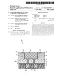 SEMICONDUCTOR DEVICE INCLUDING PASSIVATION LAYER ENCAPSULANT diagram and image