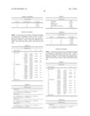 INNER FOCUS LENS SYSTEM, INTERCHANGEABLE LENS APPARATUS AND CAMERA SYSTEM diagram and image