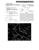 METHOD FOR MEASURING FIBER CONTENT OF POLYETHYLENETEREPHTHALATE AND     POLYTRIMETHYLENETEREPHTHALATE FIBERS diagram and image