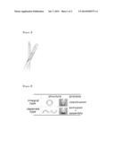 Tubular Integrated Light Emitting Diode (LED) Lamp Housing Having a Heat     Radiation Section and a Light Transmission Section and Method for Making     the Same diagram and image