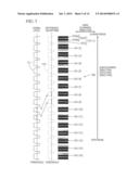 Image Forming Apparatus diagram and image