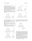 CONJUGATES OF NITROIMIDAZOLES AND THEIR USE AS CHEMOTHERAPEUTIC AGENTS diagram and image