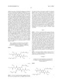 Modified Pyrazine Derivatives and Uses Thereof diagram and image