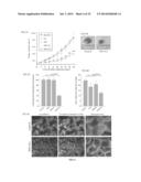 Oxide Ferrimagnetics with Spinel Structure Nanoparticles and Iron Oxide     Nanoparticles, Biocompatible Aqueous Colloidal Systems Comprising     Nanoparticles, Ferriliposomes, and Uses Thereof diagram and image