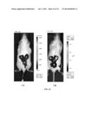 Oxide Ferrimagnetics with Spinel Structure Nanoparticles and Iron Oxide     Nanoparticles, Biocompatible Aqueous Colloidal Systems Comprising     Nanoparticles, Ferriliposomes, and Uses Thereof diagram and image