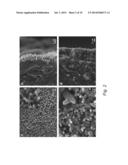 Chitosan -Amelogenin Hydrogel for In Situ Enamel Growth diagram and image