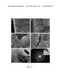 Chitosan -Amelogenin Hydrogel for In Situ Enamel Growth diagram and image