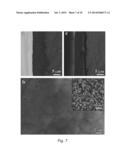 Chitosan -Amelogenin Hydrogel for In Situ Enamel Growth diagram and image