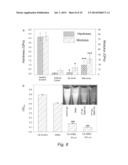 Chitosan -Amelogenin Hydrogel for In Situ Enamel Growth diagram and image