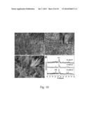 Chitosan -Amelogenin Hydrogel for In Situ Enamel Growth diagram and image