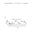 PHAGOCYTIC ACTIVITY AS A MARKER OF SYNUCLEINOPATHIC DISEASE diagram and image