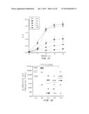 T-Cell Vaccination With Viral Vectors Via Mechanical Epidermal Disruption diagram and image