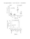 T-Cell Vaccination With Viral Vectors Via Mechanical Epidermal Disruption diagram and image