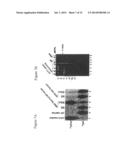 Targeted pre-mRNA/mRNA modification and gene regulation diagram and image