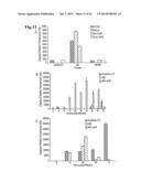 GENETICALLY-ENGINEERED NEWCASTLE DISEASE VIRUS AS AN ONCOLYTIC AGENT, AND     METHODS OF USING SAME diagram and image