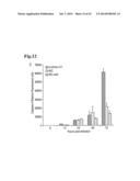 GENETICALLY-ENGINEERED NEWCASTLE DISEASE VIRUS AS AN ONCOLYTIC AGENT, AND     METHODS OF USING SAME diagram and image