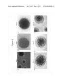 Culturing of Human Embryonic Stem Cells At The Air-Liquid Interface For     Differentiation Into Pancreatic Endocrine Cells diagram and image