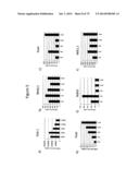 Culturing of Human Embryonic Stem Cells At The Air-Liquid Interface For     Differentiation Into Pancreatic Endocrine Cells diagram and image