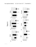 Culturing of Human Embryonic Stem Cells At The Air-Liquid Interface For     Differentiation Into Pancreatic Endocrine Cells diagram and image