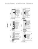 Culturing of Human Embryonic Stem Cells At The Air-Liquid Interface For     Differentiation Into Pancreatic Endocrine Cells diagram and image