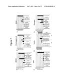 Culturing of Human Embryonic Stem Cells At The Air-Liquid Interface For     Differentiation Into Pancreatic Endocrine Cells diagram and image