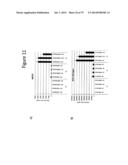 Culturing of Human Embryonic Stem Cells At The Air-Liquid Interface For     Differentiation Into Pancreatic Endocrine Cells diagram and image