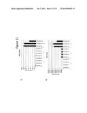 Culturing of Human Embryonic Stem Cells At The Air-Liquid Interface For     Differentiation Into Pancreatic Endocrine Cells diagram and image