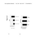 Culturing of Human Embryonic Stem Cells At The Air-Liquid Interface For     Differentiation Into Pancreatic Endocrine Cells diagram and image