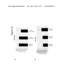 Culturing of Human Embryonic Stem Cells At The Air-Liquid Interface For     Differentiation Into Pancreatic Endocrine Cells diagram and image