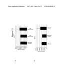 Culturing of Human Embryonic Stem Cells At The Air-Liquid Interface For     Differentiation Into Pancreatic Endocrine Cells diagram and image