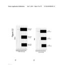 Culturing of Human Embryonic Stem Cells At The Air-Liquid Interface For     Differentiation Into Pancreatic Endocrine Cells diagram and image