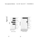 Culturing of Human Embryonic Stem Cells At The Air-Liquid Interface For     Differentiation Into Pancreatic Endocrine Cells diagram and image