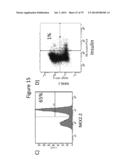 Culturing of Human Embryonic Stem Cells At The Air-Liquid Interface For     Differentiation Into Pancreatic Endocrine Cells diagram and image