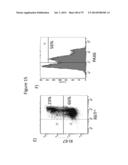 Culturing of Human Embryonic Stem Cells At The Air-Liquid Interface For     Differentiation Into Pancreatic Endocrine Cells diagram and image