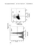 Culturing of Human Embryonic Stem Cells At The Air-Liquid Interface For     Differentiation Into Pancreatic Endocrine Cells diagram and image