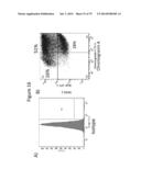 Culturing of Human Embryonic Stem Cells At The Air-Liquid Interface For     Differentiation Into Pancreatic Endocrine Cells diagram and image