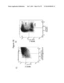 Culturing of Human Embryonic Stem Cells At The Air-Liquid Interface For     Differentiation Into Pancreatic Endocrine Cells diagram and image