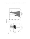 Culturing of Human Embryonic Stem Cells At The Air-Liquid Interface For     Differentiation Into Pancreatic Endocrine Cells diagram and image