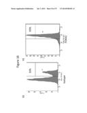 Culturing of Human Embryonic Stem Cells At The Air-Liquid Interface For     Differentiation Into Pancreatic Endocrine Cells diagram and image