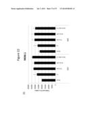 Culturing of Human Embryonic Stem Cells At The Air-Liquid Interface For     Differentiation Into Pancreatic Endocrine Cells diagram and image