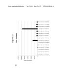 Culturing of Human Embryonic Stem Cells At The Air-Liquid Interface For     Differentiation Into Pancreatic Endocrine Cells diagram and image