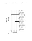 Culturing of Human Embryonic Stem Cells At The Air-Liquid Interface For     Differentiation Into Pancreatic Endocrine Cells diagram and image