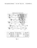 Use of Stem Cells to Prevent Neuronal Dieback diagram and image