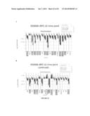 COMPOSITIONS AND METHODS FOR TREATING RETINAL DISEASES diagram and image