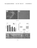 PROBIOTIC CONTROLLING FUNGI AND USES THEREOF diagram and image