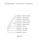 TREATMENT OF GLUTEN INTOLERANCE AND RELATED CONDITIONS diagram and image