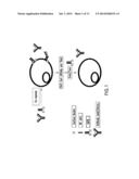 SURFACE, ANCHORED FC-BAIT ANTIBODY DISPLAY SYSTEM diagram and image